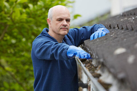 Gutter Cleaning